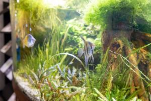 L`Oréal, EMS 30.06.2022, photo by Andrey ART. web (66).JPG